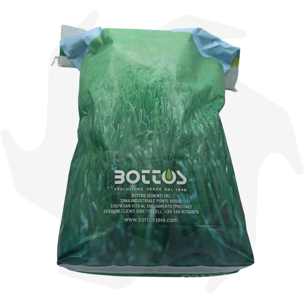 Maciste Bottos - 5Kg Seeds for turf Lawn seeds