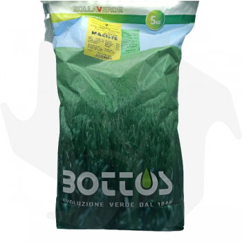 Maciste Bottos - 5Kg Samen für Rasen Rasensamen