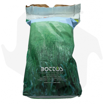 Olimpia Bottos - 5Kg Advanced seeds for resistant lawns with low maintenance even in partial shade Lawn seeds
