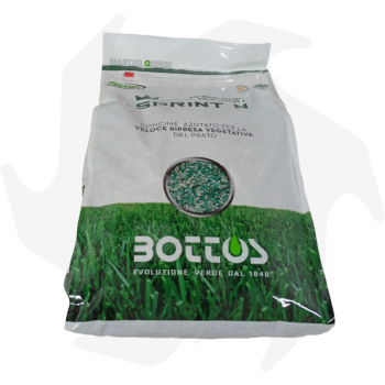 SPRINT N 27-0-14 Bottos - 10Kg Engrais à gazon Engrais pour pelouse