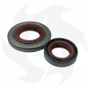 Set of crankshaft bearings and sealing rings for Stihl 024 - 026 - MS 240 - 241 - 260 - 261 Sthil gaskets