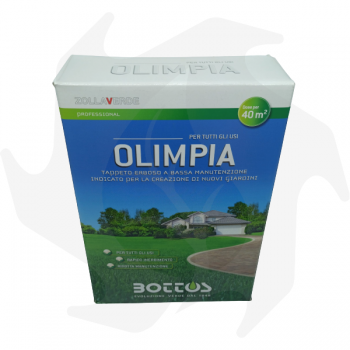 Olimpia Bottos - 1Kg Advanced seeds for resistant lawns with low maintenance even in partial shade Lawn seeds