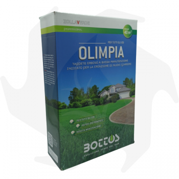 Olimpia Bottos - 1Kg Semillas avanzadas para césped resistente de bajo mantenimiento incluso en sombra parcial Semillas de cé...