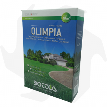 Olimpia Bottos - 1Kg Advanced seeds pour pelouse résistant à peu d'entretien même à mi-ombre graines