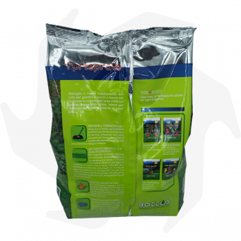 Forteprato Bottos - 1Kg de graines pour pelouse rustique et domestique résistantes au piétinement graines