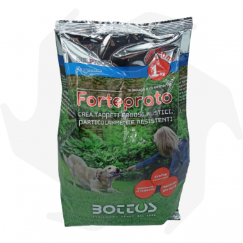 Forteprato Bottos - 1 kg Samen für rustikalen und häuslichen Rasen resistent Begehbar und wartungsarm Rasensamen