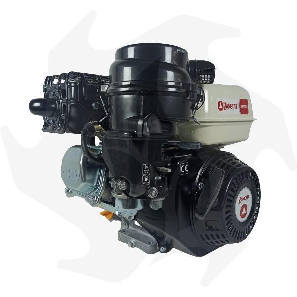 Motore 4 tempi a Benzina ZBM210 OHV 6,5 hp albero conico 23mm per motocoltivatore Zanetti Motore a scoppio