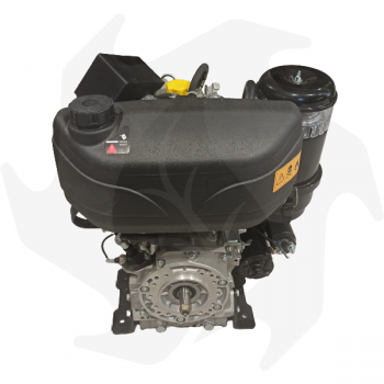 Complete adaptable Ruggerini RF140 12.5HP diesel engine with electric start Diesel engine