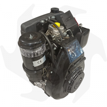 Motore diesel completo adattabile Ruggerini RF140 12,5HP con avviamento elettrico Motore Diesel