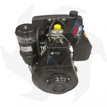 Motore diesel completo adattabile Ruggerini RF140 12,5HP con avviamento elettrico Motore Diesel