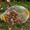Rollenkorb zum Sammeln von Nüssen und Bällen für Tennis, Paddle, Golf (groß) Olivenernte