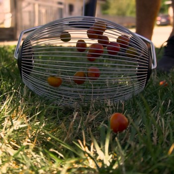 Roller basket for collecting hazelnuts, almonds, walnuts (Medium) Olive harvest