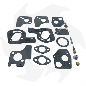 Diafragmas y kit de reparación para carburador Briggs & Stratton 494624 - 495606 Membranas de carburador