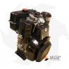 Motore diesel completo adattabile Lombardini 6LD400 con avviamento a strappo Motore Diesel