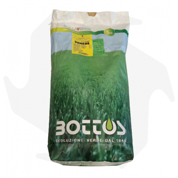 Venere Bottos - 5Kg Fortgeschrittene Samen zum Nachsäen und Regenerieren des Rasens Rasensamen