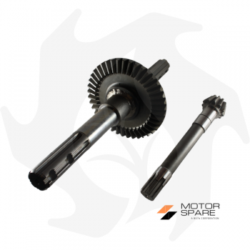 Pinion + sprocket + axle bevel gear pair for Goldoni tiller 28 Z:11/41 Spare parts for walking tractors