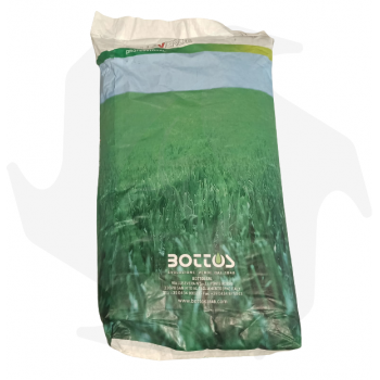 Winter Overseeding Bottos - 20Kg Tetraploid ryegrass seeds for winter reseeding of macrothermal plants and couch grass Lawn s...
