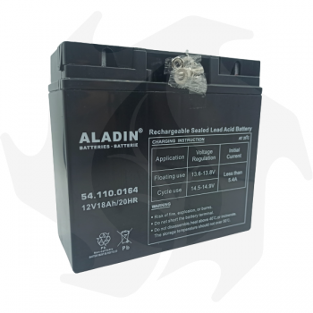 Batteria Aladin 12V 18Ah per trattorino rasaerba Batterie 12V