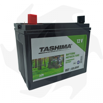 Batterie Tashima 12V 28Ah pour tracteur tondeuse Batteries 12V