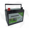 Batería Tashima 12V 28Ah para tractor cortacésped baterías de 12V