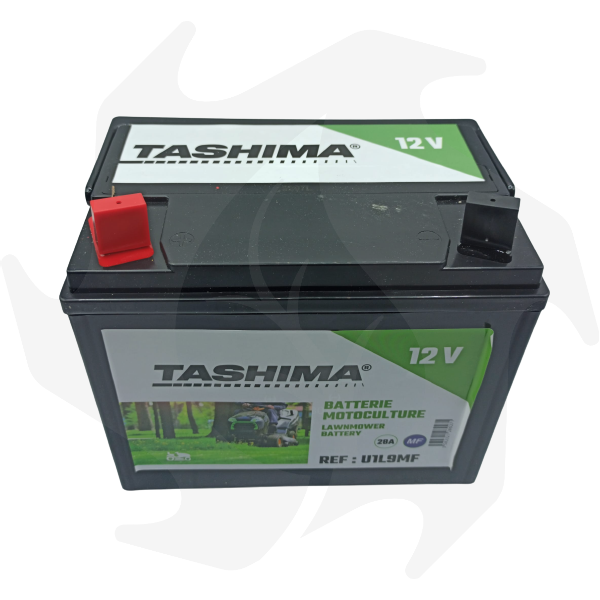 Batterie Tashima 12V 9A pour tracteur tondeuse Castelgarden-Flymo-R