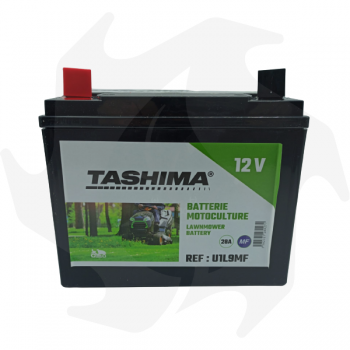 Batería Tashima 12V 28Ah para tractor cortacésped baterías de 12V