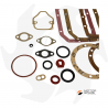 Complete set of gaskets and oil seals for Lombardini 6LD400 6LD435 engine Lombardini engine spare parts