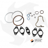 Complete set of gaskets and oil seals for Ruggerini RD RF engine Seals