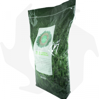 Country Emeraldgreen - 10 Kg Treated seeds for a dark green, dense and resistant lawn Lawn seeds