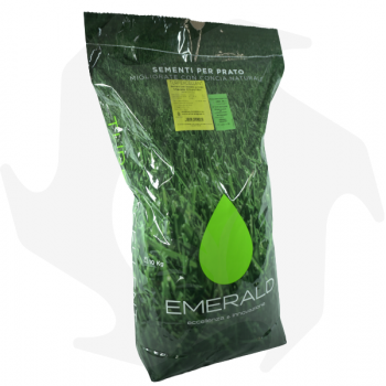 Country Emeraldgreen - 10 Kg Gegerbte Samen für einen dunkelgrünen, dichten und widerstandsfähigen Rasen Rasensamen