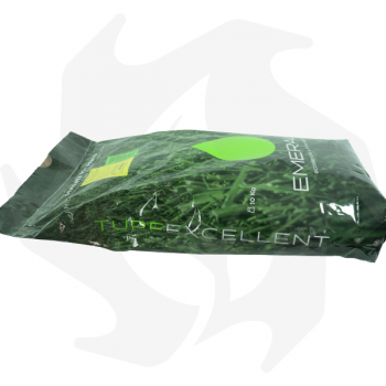 Country Emeraldgreen - 10 Kg Treated seeds for a dark green, dense and resistant lawn Lawn seeds