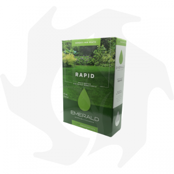 Rapid Emeraldgreen - 1 kg Samen für einen rustikalen und schnell wachsenden Rasen Rasensamen