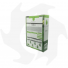 Rapid Emeraldgreen - 1 Kg Semillas para un césped rústico y de rápido establecimiento Semillas de césped