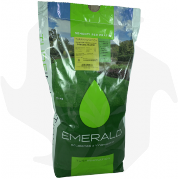Rapid Emeraldgreen - 5 kg Samen für einen rustikalen und schnell wachsenden Rasen Rasensamen