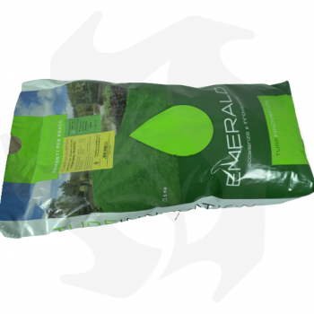 Rapid Emeraldgreen - 5 kg Samen für einen rustikalen und schnell wachsenden Rasen Rasensamen