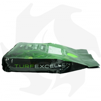Start H Emeraldgreen - 7 Kg Engrais granulaire pour semis nouveaux et sur-ensemencement à libération contrôlée Engrais pour p...