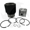 Komplettes Kit aus Zylinder und Kolben, anpassbar an Ruggerini RD270/278/952 Motor Zylinder und Kolben
