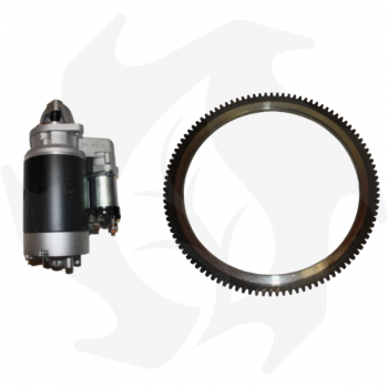 Zylinder, Kolben und Kolbenringsatz für Lombardini LDA510 Motor D:8