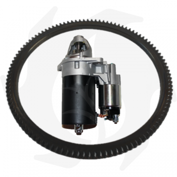 Kit avviamento elettrico + corona adattabile a motore Ruggerini RD/RF 80-90-120 Bosch 901 Starter motor