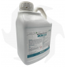 IRON 65 6 Fe (DTPA) Bottos - 6Kg Formulation liquide à base de fer chélaté DTPA pour le traitement de la pelouse Engrais pour...