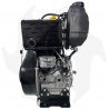 Motor diesel completo Toro Motori RF120 12HP adaptable Ruggerini con arranque eléctrico Motor diesel