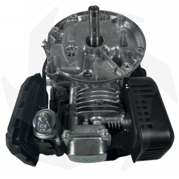 Loncin Motor für 196cc Rasenmäher mit 22x80 mm Welle Benzinmotor