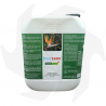 Natural Green+ (5 lt), spécifique pour les moustiques et autres insectes volants Anti-moustique