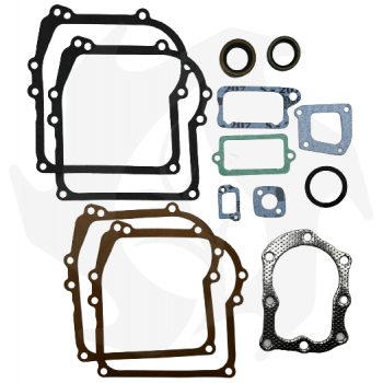 Series of gaskets for Briggs&Stratton 3-3.5 Hp engines with vertical shaft Seals