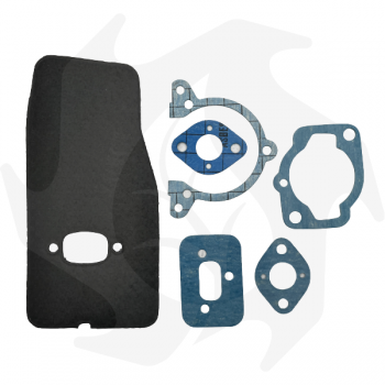 Series of gaskets for Alpina 21-25-28-30 brush cutter and Alpina TS24-TS25 hedge trimmer Seals