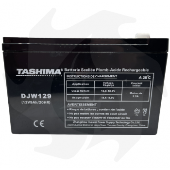 Tashima 12V 9A battery for Castelgarden-Flymo-Rover-Wolf lawn tractor / faston connection 12V batteries