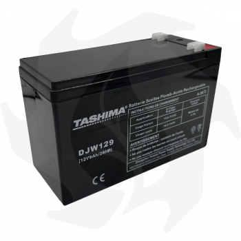 Batería Tashima 12V 9A para cortacésped Castelgarden-Flymo-Rover-Wolf / conexión faston baterías de 12V