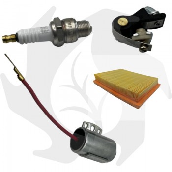 Komplettes Kit Platinpunkte, Zündkerzenkondensator und Luftfilter für ACME AL215-290-330 Motor Plattierte Stifte - Kondensator