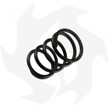 Clutch disc spring adaptable to MAB. T4 Adriatica Garden Machinery Spare Parts