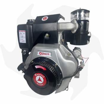 Complete Zanetti ZDM 86 C1ME 10hp diesel engine adaptable to agricultural machines with 23mm conical shaft Diesel engine